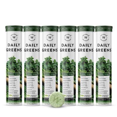 Wellbeing Nutrition Daily Greens Effervescent Tablet (Pack of 6 x 15's) - Herbal Dietary Supplement