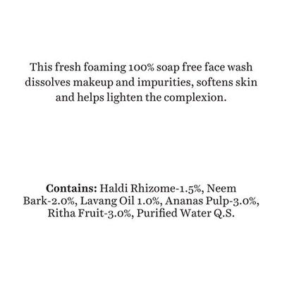 Biotique Bio Pineapple Oil Controlling Foaming Face Wash 300 ml - Face Wash & Cleansers