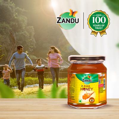 Zandu Pure Honey 250 gm - Honey