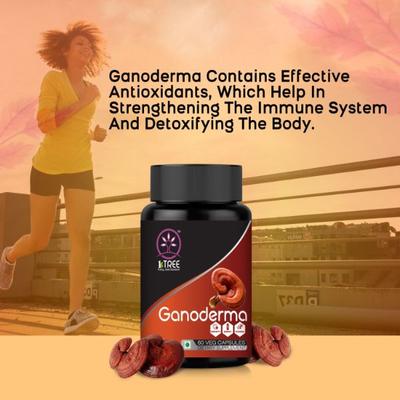 1 Tree Ganoderma Veg Capsule (Pack of 2 x 60's) - Health Products