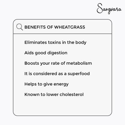 Dr. Odin Sangsara Wheatgrass Capsule 60's - Speciality Medicines