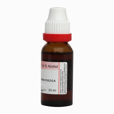Dr. Reckeweg Abrotanum Ø Liquid 20 ml - Mother Tincture