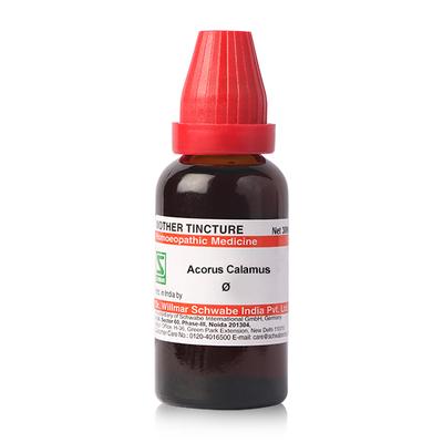 Dr.Willmar Schwabe Acorus Calamus Ø Liquid 30 ml - Mother Tincture