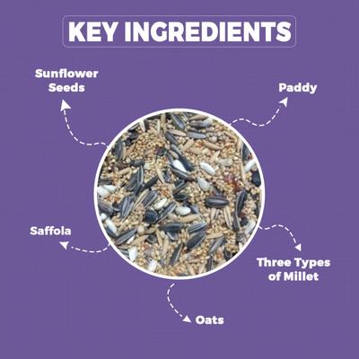 Petvit Bird Food for Cockatiel & Lovebirds Mixed Seed 1000 gm - Petfood