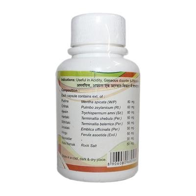 Vedic Upchar Gas-Rid Powder 60's - Speciality Medicines