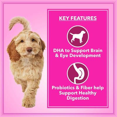 Let's Bite Active Adult Dry Dog Food with Real Chicken Egg Chicken Liver (Extra Free 1Kg) 10 kg - Petfood