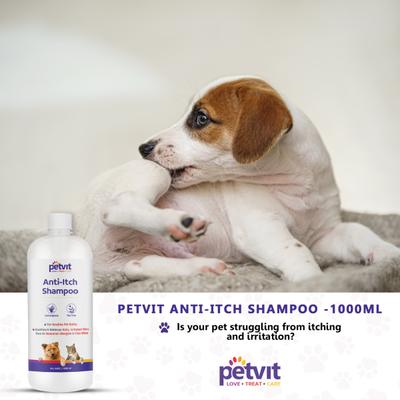 Petvit Anti Itch Shampoo - For All Breeds Dogs & Cats 1000 ml - Pet Grooming
