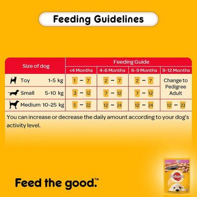 Pedigree Puppy Chicken Chunks in Gravy (Pack of 70gm x 30) 2100 gm - Petfood