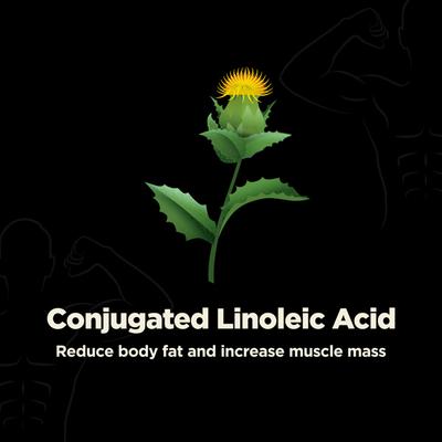 Foresta Organics CLA 1600 Vegan Capsule 60's - Speciality Medicines