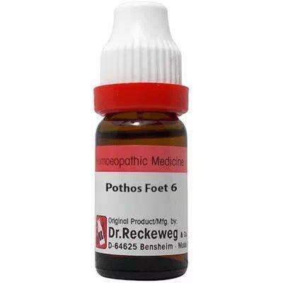 Dr. Reckeweg Pothos Foetidus 6 Liquid 11 ml - Dilutions