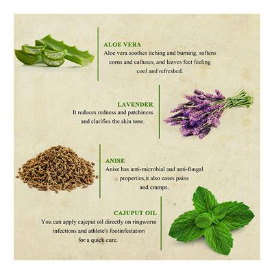 Bioayurveda Basics Youth Sport Anti-Fungal Foot Creme 20 gm - Foot Creams & Lotions