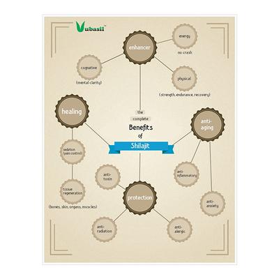Vubasil Shilajit Pro Capsule (Pack of 4 x 90's) - Health Products