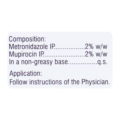 Metrogyl M Ointment 5gm - Skin Infections-Taa