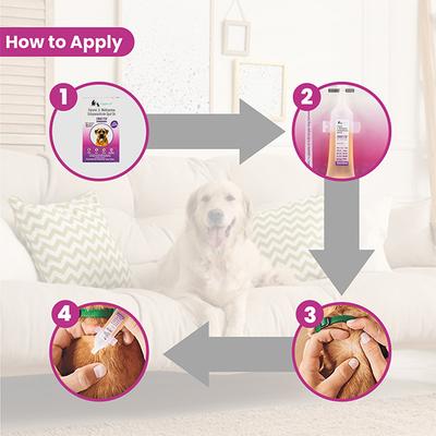 Wiggles Eraditch Spot on for Dogs Fleas Ticks Remover Treatment Drops 4.02 ml - Pet Grooming