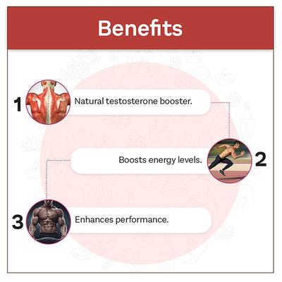 Vogue Wellness Testo Booster Tablet 60's - Sexual Healthcare