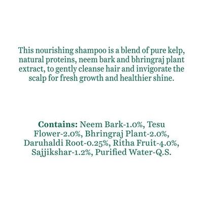 Biotique Bio Kelp Protein Shampoo for Falling Hair 100 ml - Shampoos