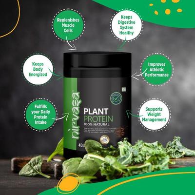 Nirvasa 100% Natural Plant Protein Powder - Chocolate 400 gm - Protein Drink