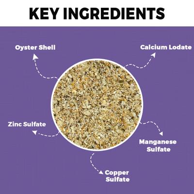 Petvit Mineral Birds Grit 1000 gm - Petfood