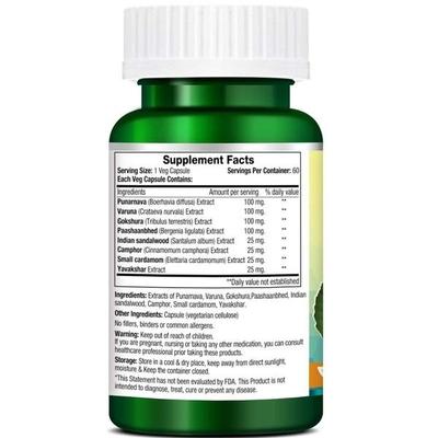 Morpheme Remedies Rencare Plus - 500mg Extract 60's - Vital Health