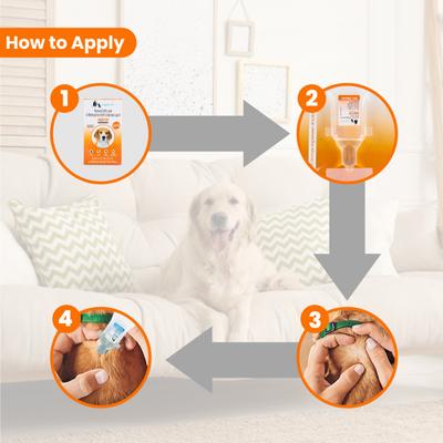 Wiggles Eraditch Spot on for Dogs Fleas Ticks Remover Treatment Drops 1.34 ml - Pet Grooming