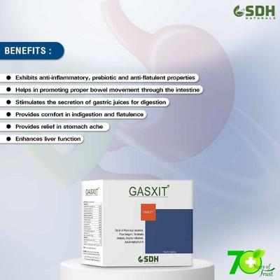 Shree Dhanwantri Herbals Naturals Gasxit Tablet 300's - Speciality Medicines