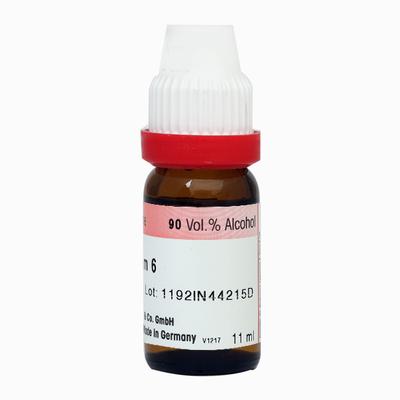Dr. Reckeweg Acid Pic 6 Liquid 11 ml - Dilutions