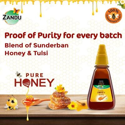 Zandu Pure Honey Squ-Easy (Pack of 2 x 225 gm) - Honey