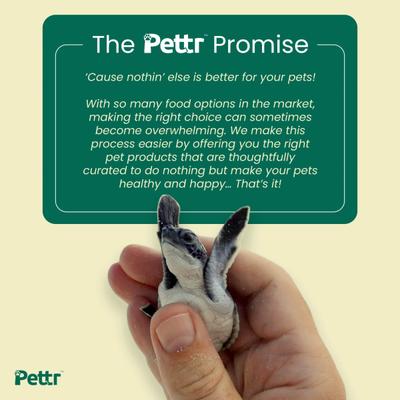 Pettr Turtle Food Treat Pellets - Fish Flavoured 370 gm - Petfood