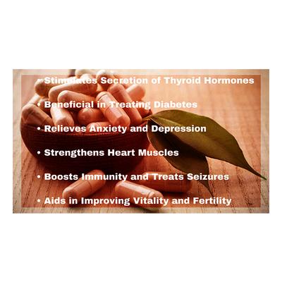 Vubasil Ashwagandha 800 mg Capsule (Pack of 6 x 60's) - Ashwagandha