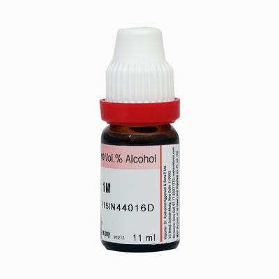 Dr. Reckeweg Acid Sulph 1M Liquid 11 ml - Dilutions