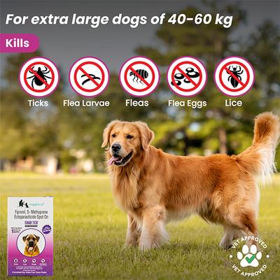 Wiggles Eraditch Spot on for Dogs Fleas Ticks Remover Treatment Drops 4.02 ml - Pet Grooming