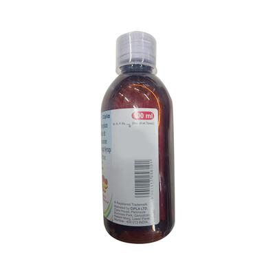 CHESTON DX Pineapple & Raspberry Flavour Cough Syrup 100ml - Cough And Cold-Cou