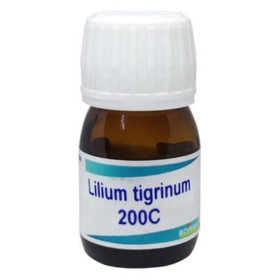 Boiron Ledum Palustre 200C Liquid 20 ml - Dilutions