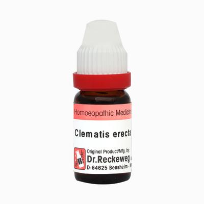 Dr. Reckeweg Clematis Erecta CM Liquid 11 ml - Dilutions