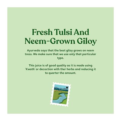 Kapiva Wild Tulsi Giloy Juice 1 ltr - Giloy