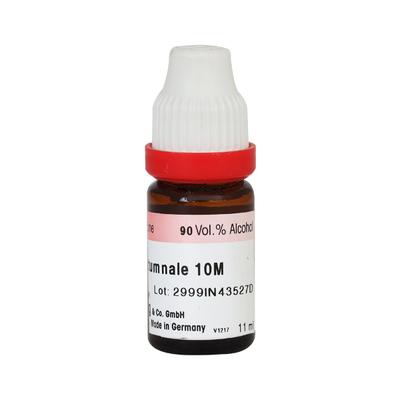 Adel Colchicum. 10M Liquid 10 ml - Dilutions