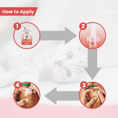 Wiggles Eraditch Spot On for Cats Fleas Ticks Remover Treatment Drops 0.5 ml - Pet Grooming