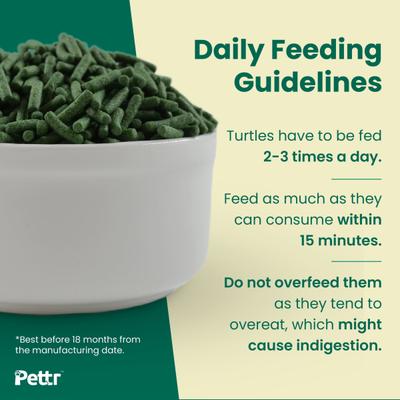 Pettr Turtle Food Treat Pellets - Fish Flavoured 370 gm - Petfood