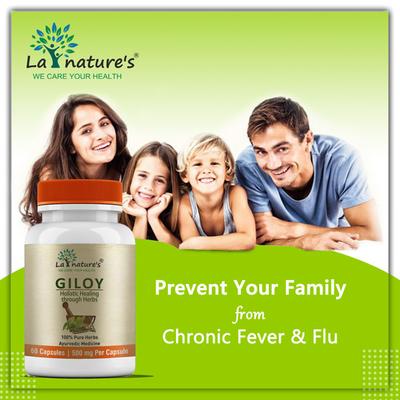 La nature's Giloy 500 mg Capsule 60's - Herbal Dietary Supplement