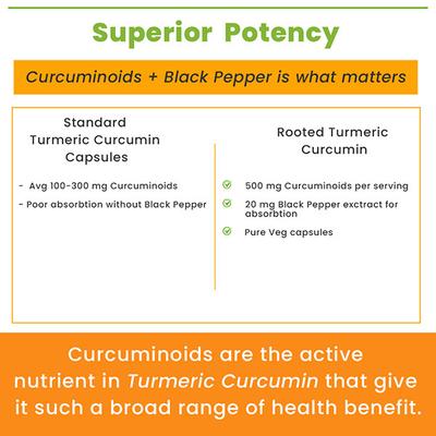 Rooted Active Naturals Turmeric Curcumin Veg Capsule 90's - Pure Herbs