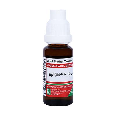Adel Epigaea R. Ø Liquid 20 ml - Mother Tincture