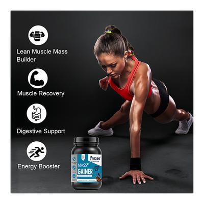 Pro360 Mass Gainer Protein Powder - Chocolate Flavour 1 kg - Weight Gain