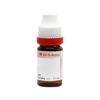 Dr. Reckeweg Cantharis 1M Liquid 11 ml - Dilutions