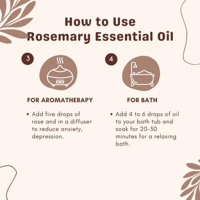 Essentia Extracts Pure Steam Distilled Essential Oil - Rosemary (Pack of 2 x 15 ml) 1's - Essential Oils