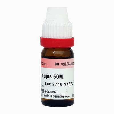 Dr. Reckeweg Chelidonium Majus 50M Liquid 11 ml - Dilutions