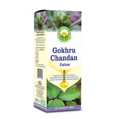 Basic Ayurveda Gokhru Chandan Juice 450 ml - Ayurvedic Juices