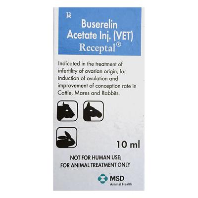 RECEPTAL (VET) Injection 10ml - Veterinary-Pharma