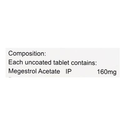 Megasty 160mg Tablet 10'S - Cancer Oncology-Hor