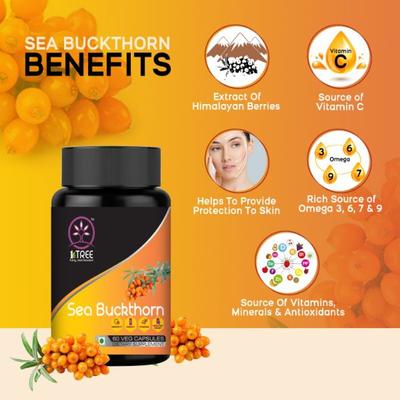 1 Tree Sea Buckthorn Veg Capsule (Pack of 2 x 60's) - Health Products