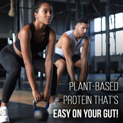 Pure Nutrition Pure Vegan Protein Powder - Chocolate Flavour 1 kg - Protein Drink